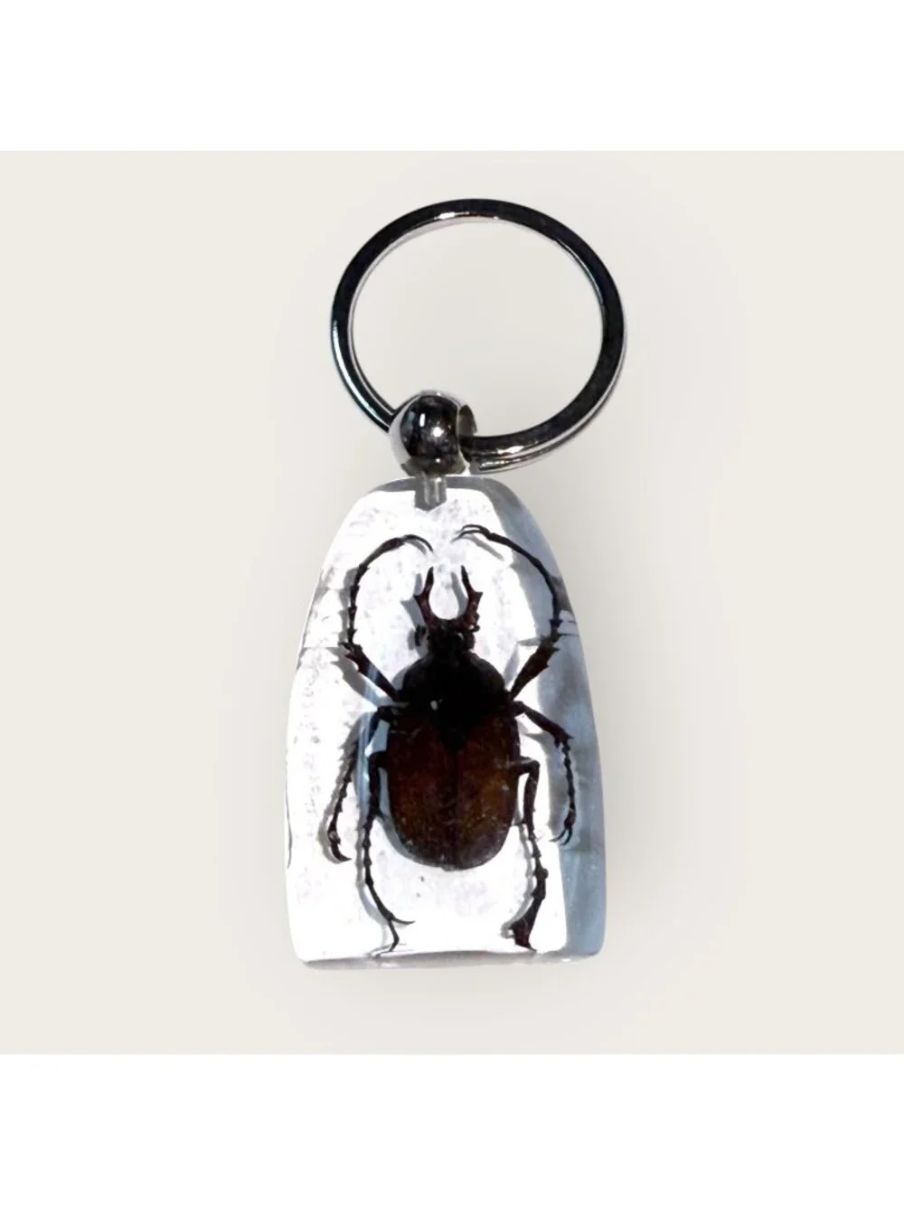 Antler Horned Beetle Keychain Keyring Clear Acrylic Resin Display Insect Bug